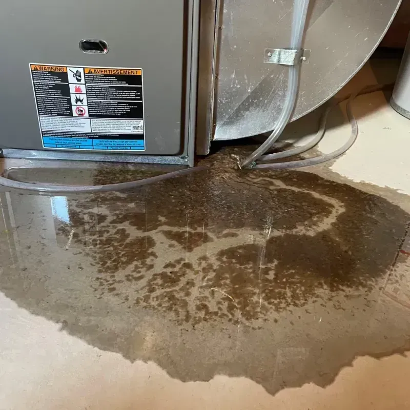 Appliance Leak Cleanup in Newark, DE